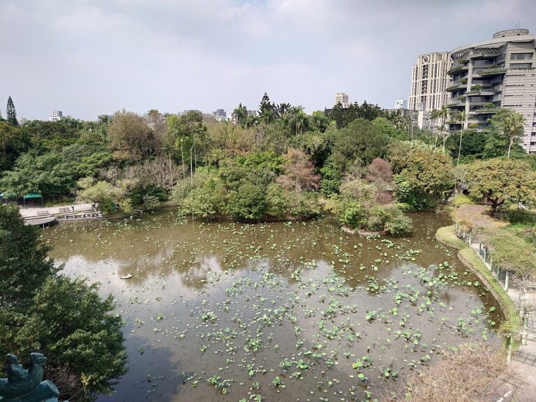 台北植物園半日散步:小南門進園、荷花池與雨天退路
