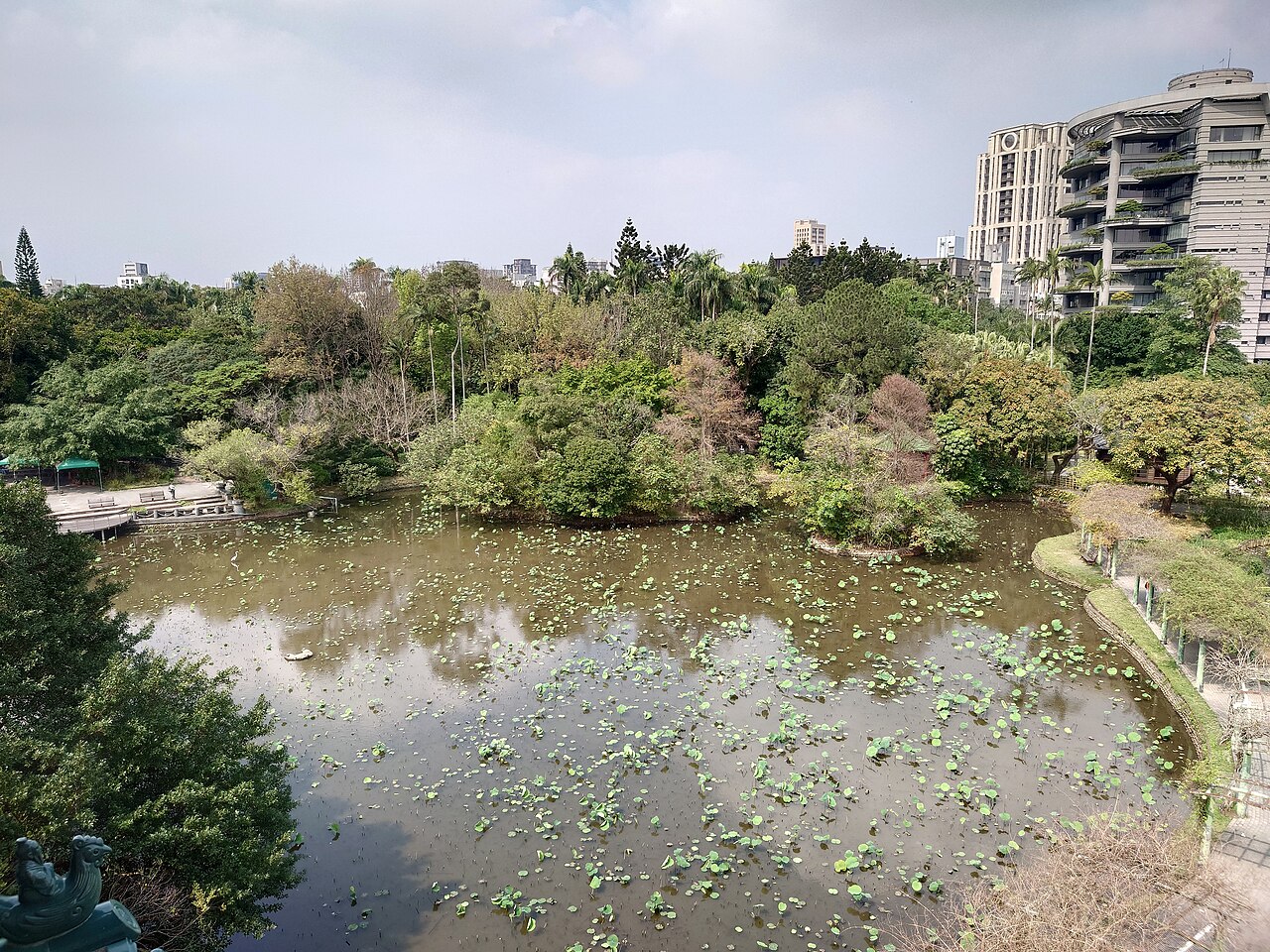 台北植物園半日散步：小南門進園、荷花池與雨天退路